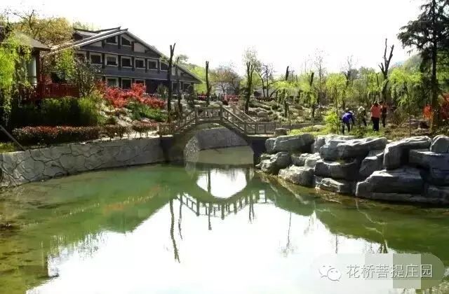 這個周末，隴南康縣花橋有大事要發(fā)生？