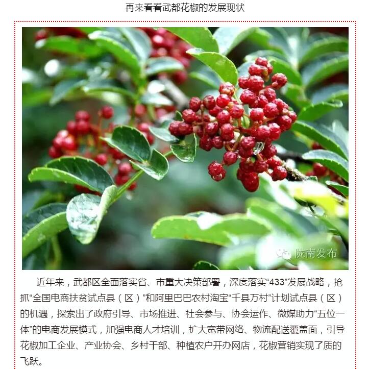 5.28億！一場盛會，武都花椒“火”了