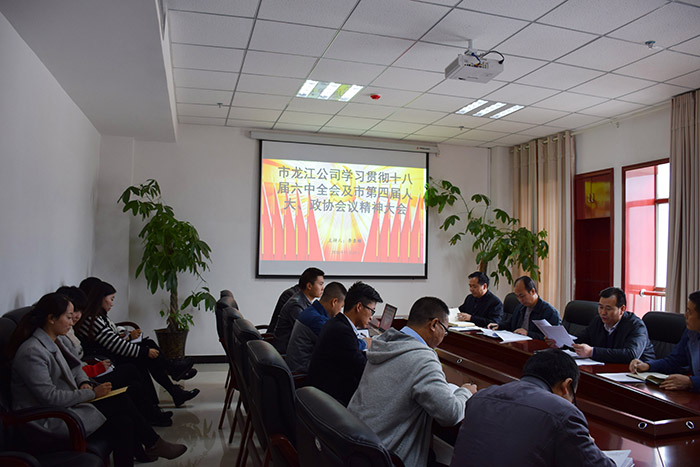 市龍江公司召開全體員工大會(huì)，專題傳達(dá)學(xué)習(xí)上級(jí)會(huì)議精神