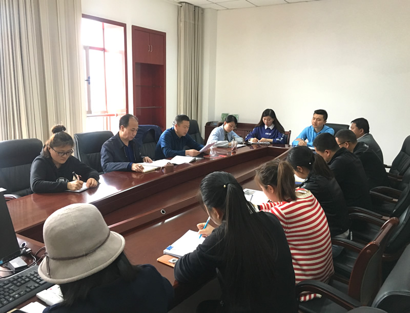 市龍江城鄉(xiāng)發(fā)展集團(tuán)專(zhuān)題學(xué)習(xí)近期中央、省、市紀(jì)律檢查委員會(huì)議精神