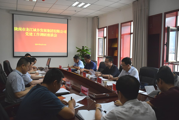 隴南市委常委、組織部部長楊郃調(diào)研指導(dǎo)市龍江城鄉(xiāng)發(fā)展集團公司黨建工作