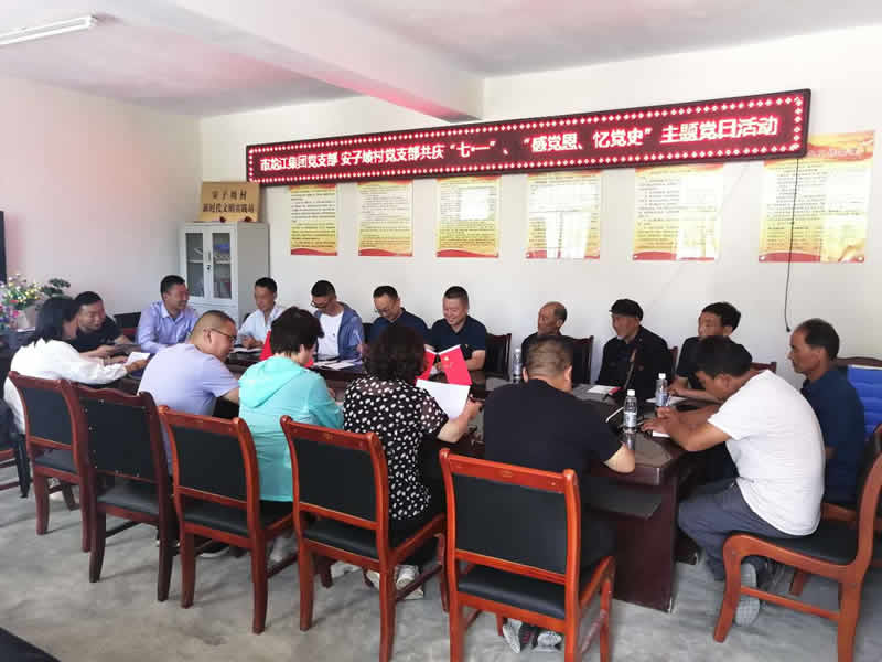 “感黨恩、憶黨史”，--市龍江城鄉(xiāng)發(fā)展集團公司開展慶祝建黨99周年主題黨日活動