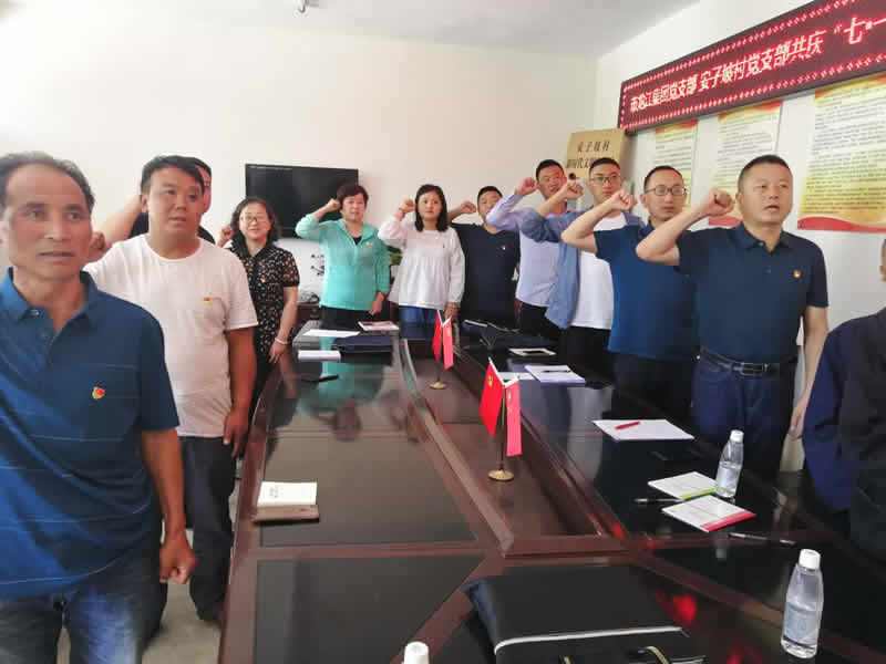 “感黨恩、憶黨史”，--市龍江城鄉(xiāng)發(fā)展集團公司開展慶祝建黨99周年主題黨日活動