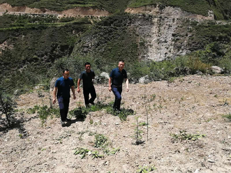 “感黨恩、憶黨史”，--市龍江城鄉(xiāng)發(fā)展集團公司開展慶祝建黨99周年主題黨日活動